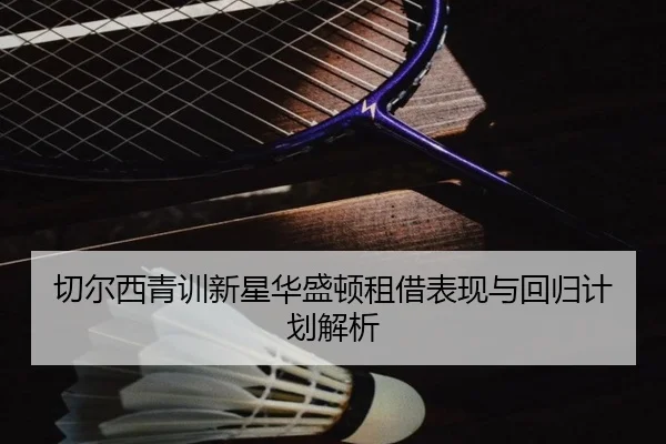 切尔西青训新星华盛顿租借表现与回归计划解析
